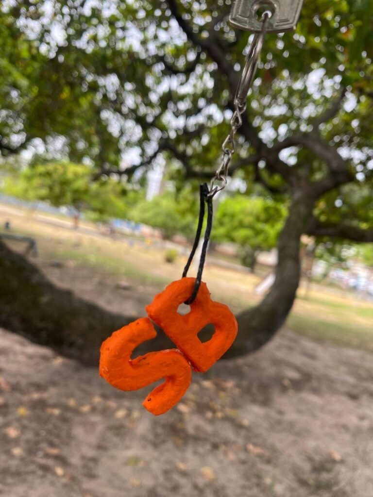 WhatsApp Image 2026-01-27 at 03.44.33